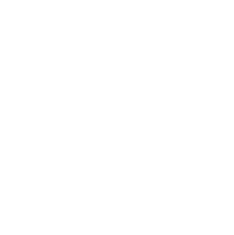 FORMENTI COLLECTION Logo