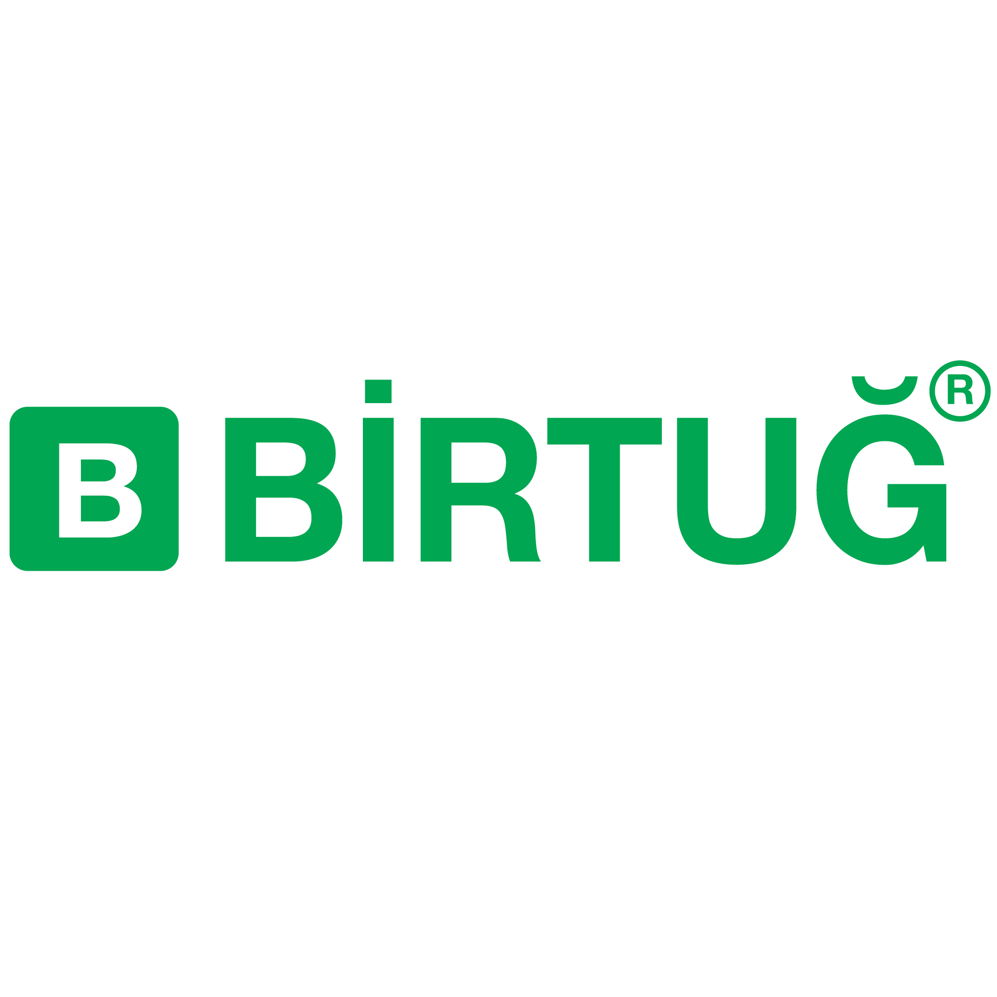Birtug Logo